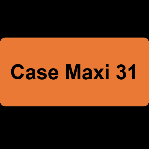 Case Maxi 31